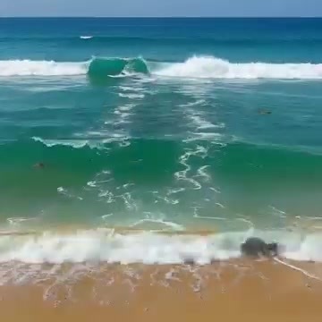 Αν δείτε αυτά τα κύματα — είναι καλύτερα να αποχωρήσετε αμέσως από την παραλία. Αν δεις τέτοια κύματα — καλύτερα να φύγεις αμέσως από την παραλία. Γιατί είναι σημαντικό — διάβασε την εξήγηση στα σχόλια 👇 | Αγαπάμε Ελλαδάρα