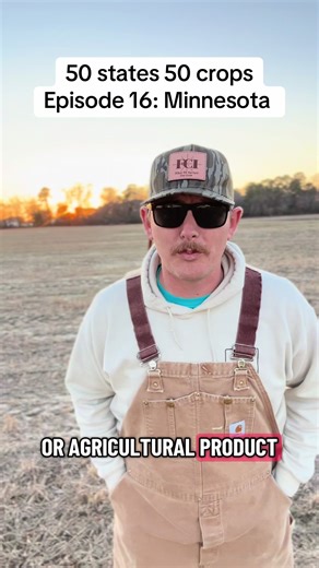 Replying to @Anna episode 16: Minnesota! Wild rice grows other places too but Minnesota has the largest natural wildrice beds in the country! #farming #minnesota #mn #info #farm