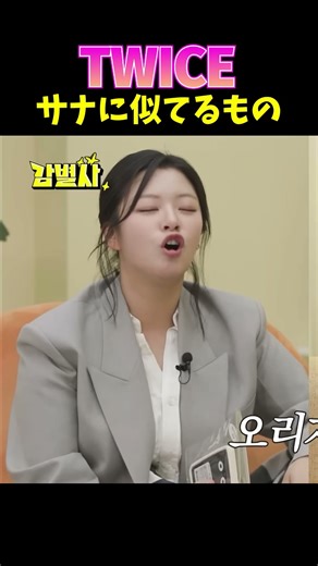 #twice サナに似ているもの