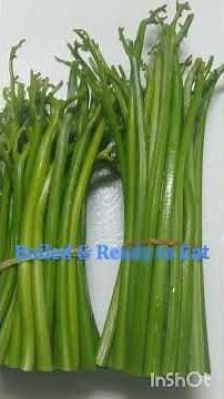 Spring Mountain Delicacy — Fresh Warabi Ferns from Japan
