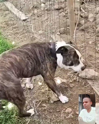 Gracias por seguirme y compartir 💪💯💪💯💪 #humor #yosoydelos7mil #memes #enbuscadelosmejoresprecios