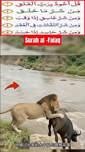 Surah Al-Falaq | Quran Recitation ❤️❤️ #quran​#islamicvoice​#quranrecitation #trending #merataiba#yt