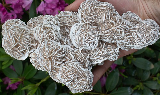 Desert Rose Selenite Meanings and Crystal Properties