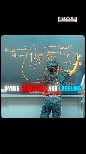 Ovule Structure And Labeling 🔥 | #shorts #physicswallah