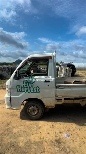 TikTok 🌱 Agriculture deserves more love than it gets. 🥹🌱 So much goes into this profession, and every little part of the work matters. 🧑🏽‍🌾🚜 #EveHarvest #FarmTok #Agriculture #FarmLife