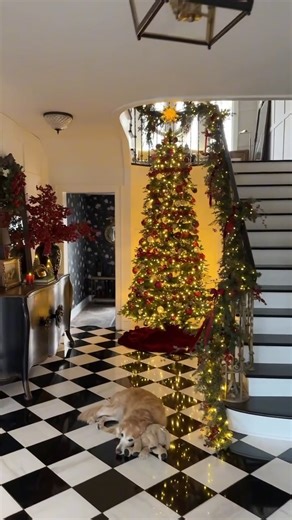 Pottery Barn Canada on Instagram: "A warm welcome for the holidays. Classic reds, a draped garland, and a tree that brings the perfect touch of Christmas to the entryway. Tap our link in bio to bring the holiday magic to your home. 📹: @nikimariephoto #mypotterybarn"
