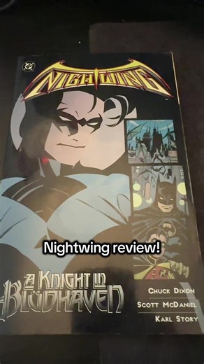 Nightwing’s first time in Bludheaven #dccomics #comic #nightwing #robin