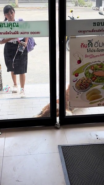 จะรู้สึกตัวกี่โมง😂🙂‍↔️🙂‍↔️ #หมาหน้าเซเว่น #หมาน่ารัก #หมาจรก็มีหัวใจ