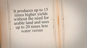 Agtech breakthrough: Dutch startup Source.ag harvests 4M Series A extension for AI-powered indoor fa