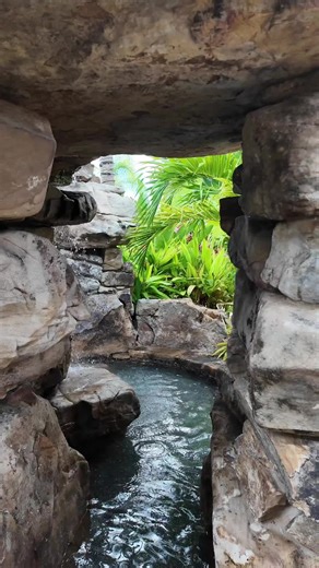 Tropical Backyard Oasis Design in Weston, Florida