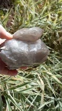 FULL VIDEO (BACK TO THE BATHOLITH)