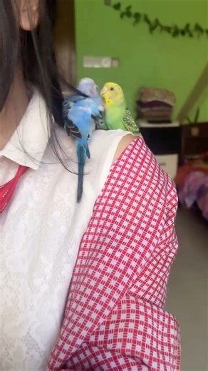 Rup Kotha | {Fashion Styling, Outfit Inspiration, Clothing Hacks, Style Tips, Wardrobe Essentials, Fashion Trends, Chic Outfits, Stylish Looks, Fashion... | Instagram