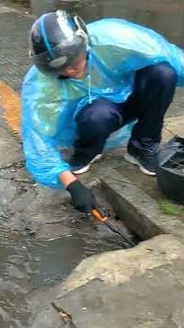 Flood Street Cleanup from Start to Finish
