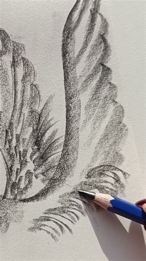 Easy Pencil Bird✏️🕊#Shorts #BirdDrawing#EasyDrawing#PencilDrawing#ArtShorts #Sketching#DrawingShorts