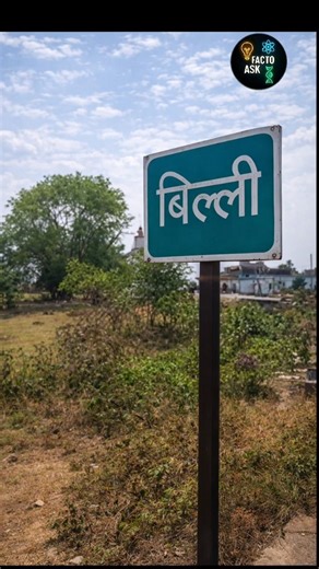 most stranger village in india 😂 #factoask #facts