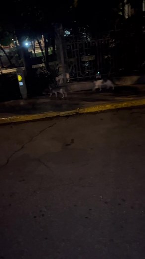 Fin de semana #vlog #aestheticvlog #workout #routine #gym #study #studytok #aesthetic #cute #lifestyle #merida