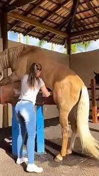 How the girl collects horse sperm #shorts