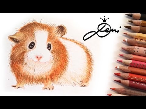 🐹 Meerschweinchen zeichnen 🐹How to draw a domestic Guinea pig - Cavy🐹 Kак се рисува морско свинче