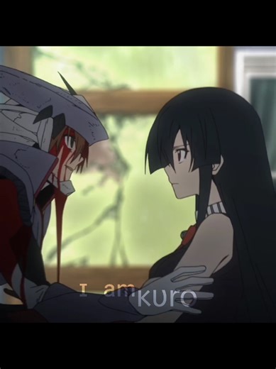Understanding Akame's Limits: What She Can and Can't Say