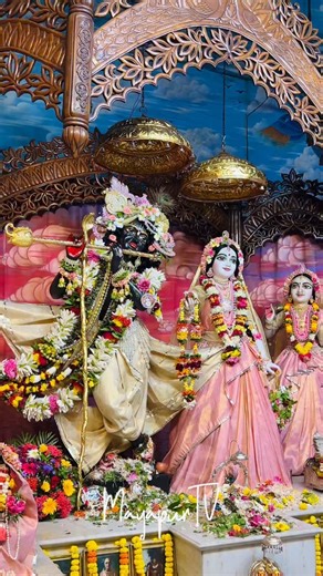 Today’s Darshan of Sri Sri Radhamadhava | Iskcon Mayapur Daily Darshan