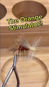 A Fall Fly Fishing MUST-HAVE: the Orange Stimulator! #flyfishing #flytying #dryfly #flyfish #trout
