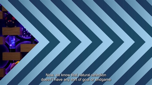 Natural selection doesn't have an endgame in mind, but we humans do. And therefore: dogs. Learn more in Crash Course Biology! https://youtu.be/i-VeKZeyHZs #biology #naturalselection #artificialselection #doggo | CrashCourse