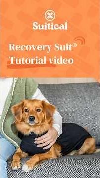 Suitical Recovery Suit Tutorial