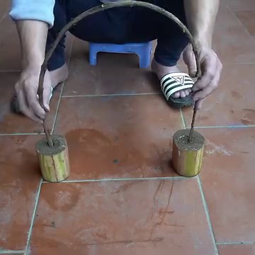 Discover How To Easily Grow Guava With Lots Of Fruit | Great DIY Idea