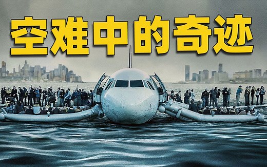 飞机被大鸟击落，155人全部奇迹生还-《哈德逊奇迹》| 奇闻观察室