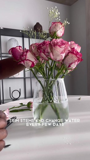 Tips for Long-Lasting Roses: Flower Care Guide
