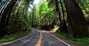 Video by Dudubangbang Travel on Pexels