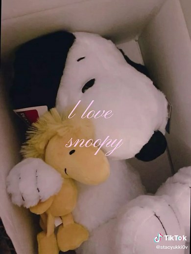 Snoopy: The Beloved Beagle Character