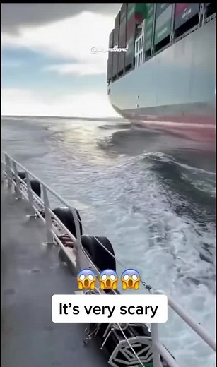 Unknown Facts About Evergreen Ships