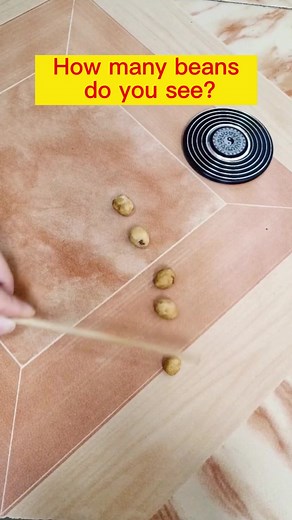 5 or 6? Amazing Beans Magic Trick Revealed!