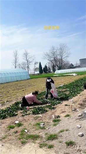 Creator Hub: The Secret to Creative Inspiration Unveiled