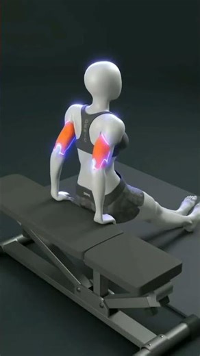 How to Do Tricep Dips Correctly (3D Animation)