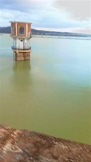 Vidéos de Cheb MOH khmisi (@mohamed.hout) avec son original - 🇩🇿cheb salim mosta 🇩🇿🇨🇵