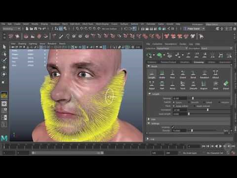 Starting an XGen Beard in Maya