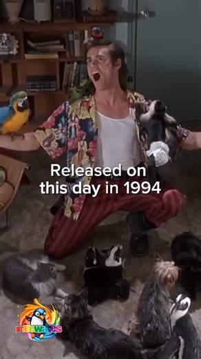 Rarewaves | ALLLRIGHTY THEN 🫰✌️ Jim Carrey’s breakout role came on this day in 1994 with the release of ‘Ace Ventura: Pet Detective’ 🦜🕵️ #AceVentura... | Instagram