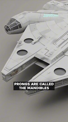 Jared Owen Animations on Instagram: "Whats Inside the Millenium Falcon? @starwars⁠ ⁠ #starwarsmillenniumfalcon #jaredowen #3danimation #starwars"