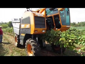 Grape harvesting machine