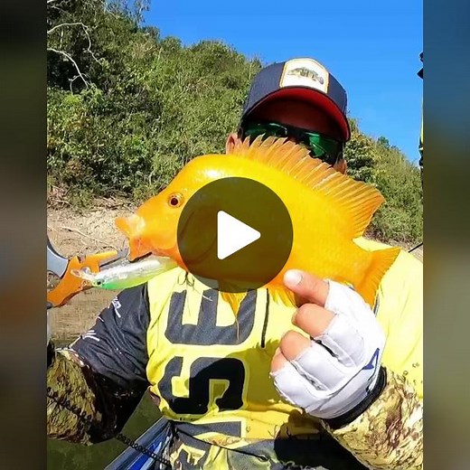 Red Devil Fish Fishing in Puerto Rico