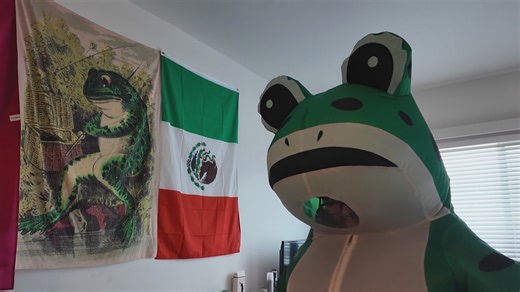Portland's original protest frog ordered to stay away from ICE building after guilty plea