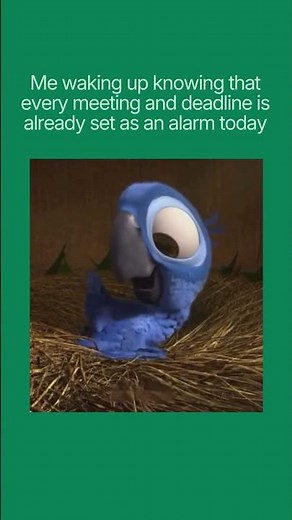 Me waking up knowing every meeting, deadline and task is already set as an alarm today