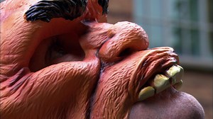 Nature - Short | The Crow and the Caveman | A Murder of Crows - Twin Cities PBS