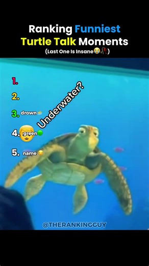Ranking The Funniest Turtle Talk Interactions #shorts #funny #comedy