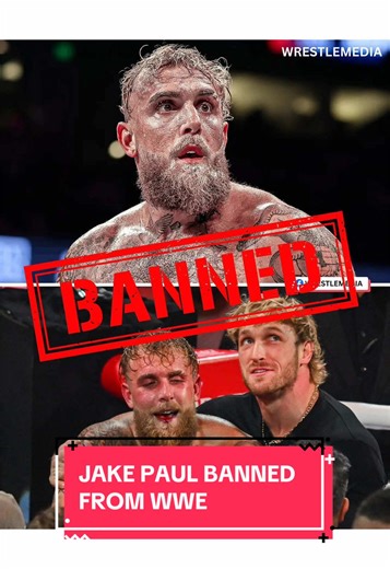 Jake Paul banned from WWE #wwe #jakepaul #loganpaul | jakepaul