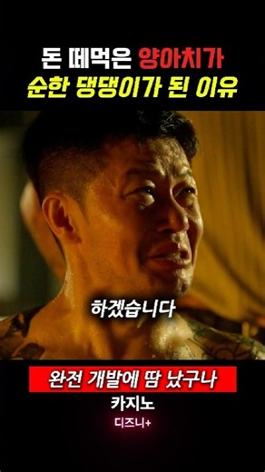 돈 떼먹은 양아치가 순한 댕댕이가 된 이유 #카지노