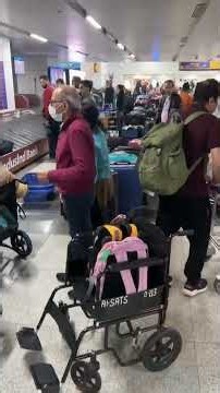 #Airport #Customs Rules India | Green & Red Channel Explained by CA #international #travel