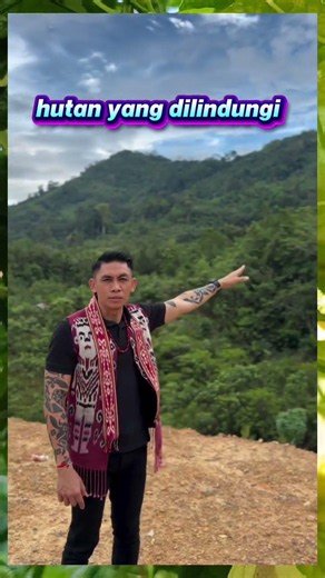 hutan yang dilindungi #dayak #dayakterbaru #panglimajilahdayak #hutanadat